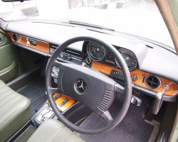 Mercedes Benz 250