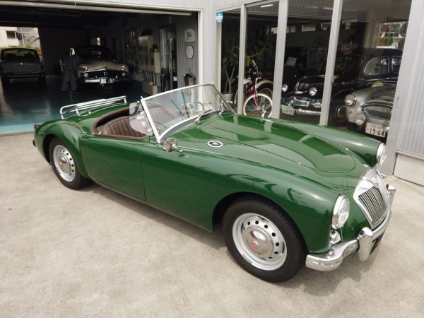 1956y　MG A　入庫しました！サムネイル