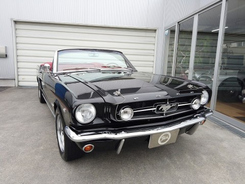 FORD MUSTANG Convertible