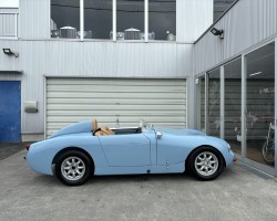 Austin Healey Sprite Mk1 SPEEDWELL