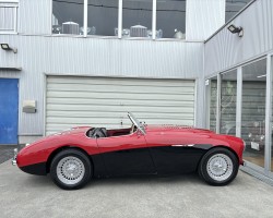 Austin Healey 100/4(BN1) M E/G