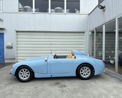 Austin Healey Sprite Mk1 SPEEDWELL