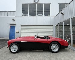 Austin Healey 100/4(BN1) M E/G