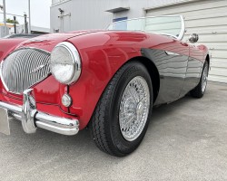 Austin Healey 100/4(BN1) M E/G