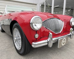 Austin Healey 100/4(BN1) M E/G