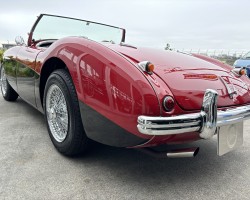 Austin Healey 100/4(BN1) M E/G