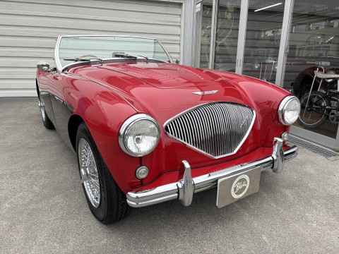 Austin Healey 100/4(BN1) M E/G