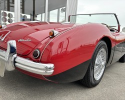 Austin Healey 100/4(BN1) M E/G