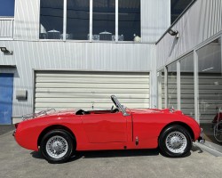 Austin Healey Sprite Mk1